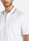 Wholesale Men's Striped Trim Regular Fit Short Sleeve Polo Shirt - Liuhuamall