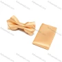 Wholesale Men's Fashion Plain Adjustable Bow Ties & Pocket Square Sets preview