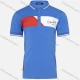 Wholesale Boys Casual Colorblock Letter Print Striped Trim Short Sleeve Polo Shirt Blue Clothing Wholesale Market Liuhua