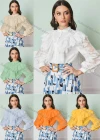 Wholesale Women's Stand Collar Lantern Sleeve Sheer Lace Button Down Plain Blouse AY196# - Liuhuamall