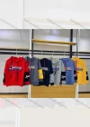 Wholesale Boys Multicolor Stripes Sleeves Letters Print Graphic Pullover Hoodies - Liuhuamall