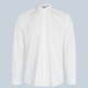 Men's Slim Fit Collared Long Sleeve Button Down Plain Dress Shirts White Clothing Wholesale Market -LIUHUA