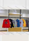 Wholesale Boys Gradient Stripes Sleeves Letters Print Graphic Hoodies - Liuhuamall