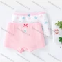 Wholesale Girls Assorted Colors Lovely Graphic Underwear Boxer Panties (2 Pieces of Pack) GD201# preview