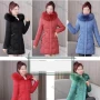 Wholesale Women's Casual Faux Fur Hood Zipper Puffer Coat preview