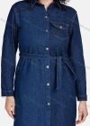 Wholesale Women's Casual Collared Long Sleeve Button Down Lace Up Denim Shirt Dress 5658# - Liuhuamall