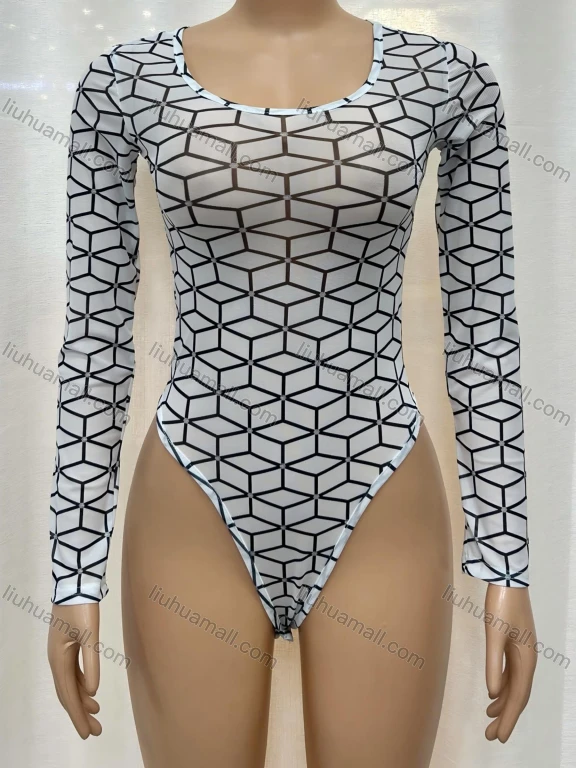 Wholesale Women's Fashion Korean Net Translucence Crew Neck Unisize Plain Long Sleeve Bodysuit 10745-1#