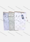 Wholesale Men's Casual 100%Cotton Letter Print Striped Trim Drawstring Shorts - Liuhuamall