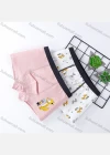Wholesale Boys Cute Graphic Elastic Waistband Boyshort Underwear Panties (2 Pieces of Pack) - Liuhuamall