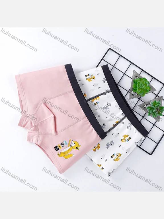 Wholesale Boys Cute Graphic Elastic Waistband Boyshort Underwear Panties (2 Pieces of Pack)