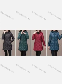 Wholesale Women's Casual Plain High Neck Zipper Detachable Hood Quilted Coat 2021#, LIUHUA CLOTHING WHOLESALE