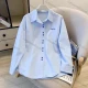 Wholesale Women's Minimalist Cotton Polo Shirt, Double Button Embroidery Loose Long Sleeve Top, New for Spring & Autumn Blue Clothing Wholesale Market Liuhua