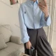 Wholesale French Pony Embroidered Blue Shirt Women Long Sleeve Loose Designer Blouse Blue Clothing Wholesale Market Liuhua
