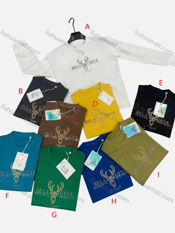 Wholesale Boys' Casual Round Neck Long Sleeve Letter Print Sweatshirt