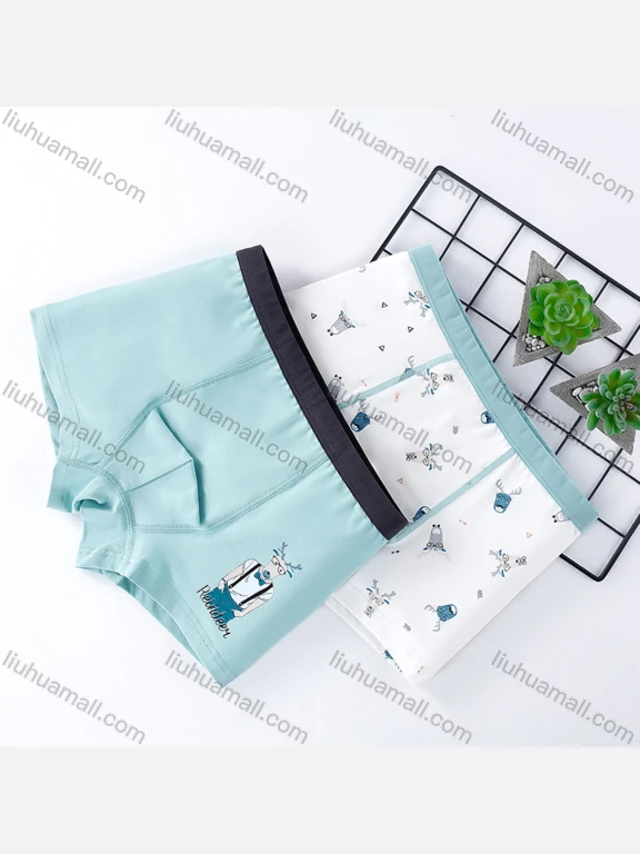 Wholesale Boys Cute Graphic Elastic Waistband Boyshort Underwear Panties (2 Pieces of Pack)