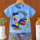 Wholesale Boys Casual Short Sleeve Cartoon Graphic T-shirts&Shorts 2 Piece Homewear Sets Style 4 Clothing Wholesale Market Liuhua