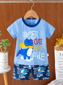 Wholesale Boys Casual Short Sleeve Cartoon Graphic T-shirts&Shorts 2 Piece Homewear Sets, LIUHUA CLOTHING WHOLESALE