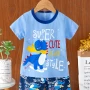 Wholesale Boys Casual Short Sleeve Cartoon Graphic T-shirts&Shorts 2 Piece Homewear Sets preview