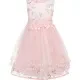 Girls 3D Floral Embroidery Lace Layered Hem Flower Girl Dress Pink Clothing Wholesale Market -LIUHUA