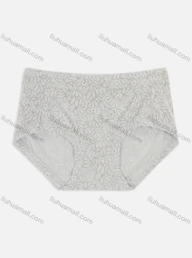 Wholesale Women's Allover Print Floral Seamless Comfortable High Stretchy Briefs 3759#, LIUHUA CLOTHING WHOLESALE