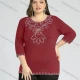 Wholesale Women's Plus Size Round Neck Short Sleeve Embroidery Casual Top 4# Clothing Wholesale Market Liuhua