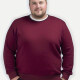 Men's Plus Size Plain Crew Neck Long Sleeve Knitted Pullover Sweater Maroon Clothing Wholesale Market -LIUHUA