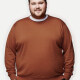 Men's Plus Size Plain Crew Neck Long Sleeve Knitted Pullover Sweater Rust Orange Clothing Wholesale Market -LIUHUA