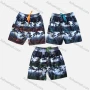 Wholesale Men's Tropical Plants Print Striped Drawstring Beach Shorts B5527# preview