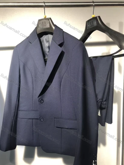 Wholesale Women's Formal Business Single Breasted 2 Piece Plain Suit Set #021