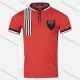 Wholesale Boys Casual Striped Trim Numeric Metal Embroidery Quarter Zip Polo Shirt Red Clothing Wholesale Market Liuhua