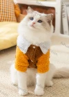 Wholesale Cat Clothes For Autumn & Winter Warmth Cute Fleece Two-legged Cotton Coat - Liuhuamall