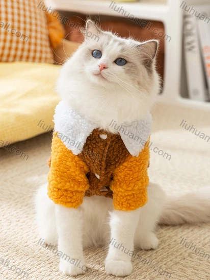 Wholesale Cat Clothes For Autumn & Winter Warmth Cute Fleece Two-legged Cotton Coat
