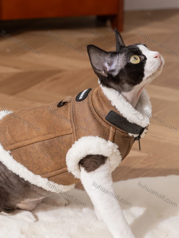 Wholesale Cat Autumn & Winter Pet Clothes Suede Fleece Drawstring Vests Two-legged Cat Clothes