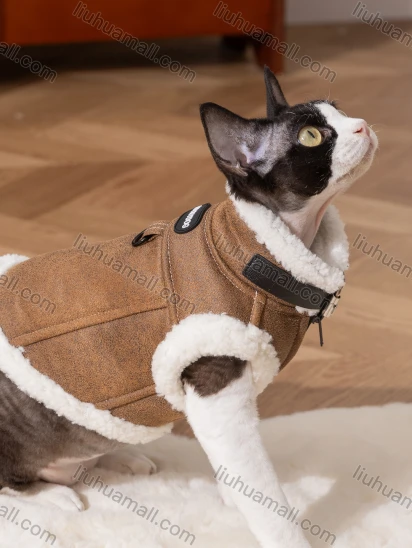 Wholesale Cat Autumn & Winter Pet Clothes Suede Fleece Drawstring Vests Two-legged Cat Clothes