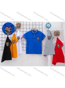 Wholesale Boy's Casual 100% Labelled Short Sleeve Polo Shirt, LIUHUA CLOTHING WHOLESALE