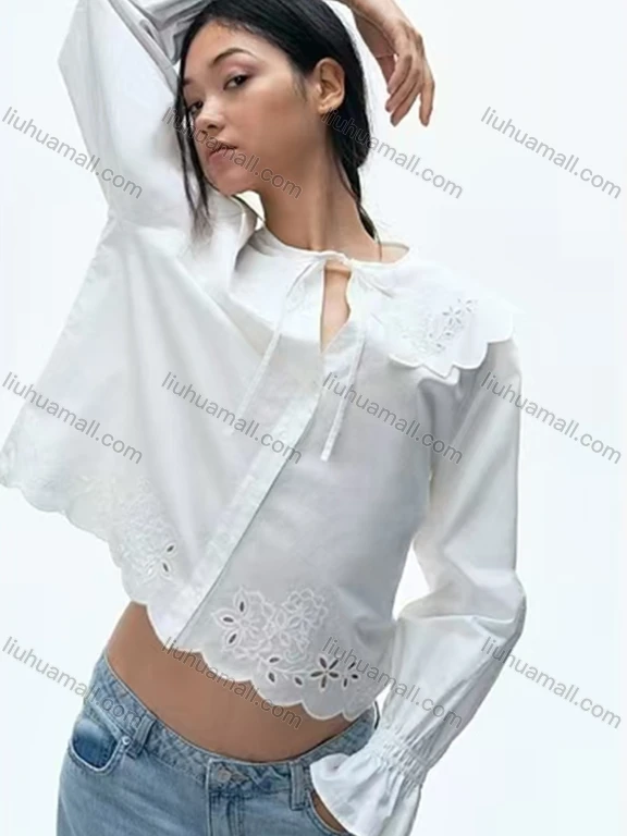 Wholesale Women's Casual Long Sleeve Crew Neck Ruched Button Front Hollow Embroidered Blouse