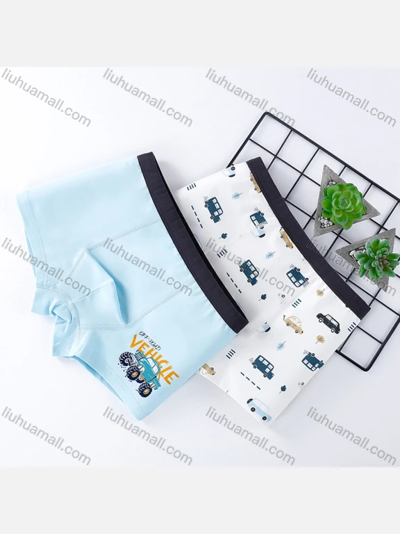 Wholesale Boys Cute Graphic Elastic Waistband Boyshort Underwear Panties (2 Pieces of Pack)
