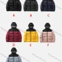 Wholesale Men's Casual Colorblock Hooded Zipper Pockets Thermal Lined Puffer Jacket 8829# preview