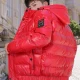 Wholesale Men's Casual Plain Shiny Hooded Patch Pocket Zip Up Cotton-Padded Puffer Jacket 8208# Red Clothing Wholesale Market Liuhua